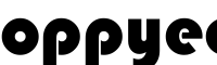 oppyeefundraisingbytotalconcepts mall